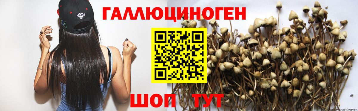 Псилоцибиновые грибы GOLDEN TEACHER Щёлково